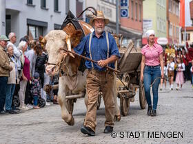 Umzug beim Fuhrmannstag