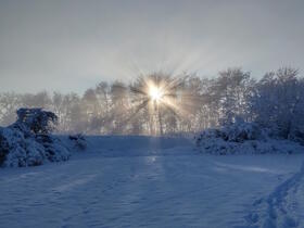 Platz 2 - Beim Egelsee in Blochingen von Ingrid Joubert