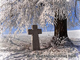 Winterbaum in Beuren von Alfred Raith