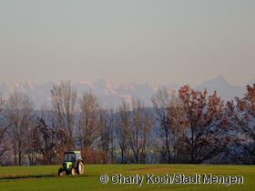Platz 2 - Traktor vor Alpenpanorama von Charly Koch