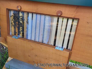 Ein Blick ins Innere.