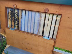 Blick in den Nistkasten