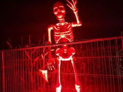 Gruseln für Fortgeschrittene 