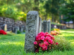 Abräumarbeiten auf dem Friedhof
