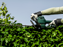 Grüngutsaison beginnt am 10. März 2026