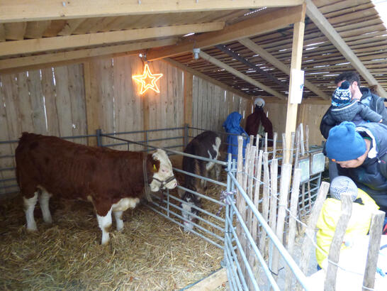 Weihnachtsmarkt Mengen