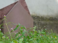 Ein Erinnerungsort für Familien