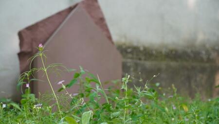 Das Grabfeld für Sternenkinder in Mengen ist eingeweiht und gesegnet. (Fotos: Stadt Mengen)