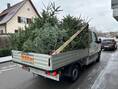 Christbäume eingesammelt