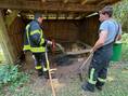 Kleinbrand im Wald